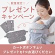 画像2: ErgoBabyCarrier オムニ ブリーズ パールグレー 専用カバーセット（本体SG＋専用カバー／スターダストグレー） (2)