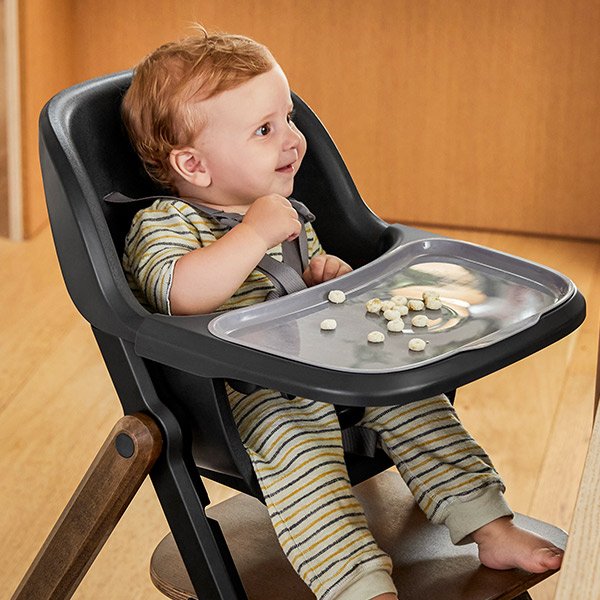 画像22: ErgoBaby EVOLVE エルゴベビー エボルブ ハイチェア ダークウッド (22)