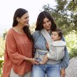画像13: ErgoBabyCarrier アダプト ソフトフレックス SG パールグレー  専用カバーセット（本体SG＋専用カバー/ジョセフィンズガーデン アイボリー） (13)